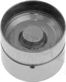 autex-955052