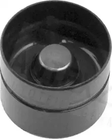 autex-955058