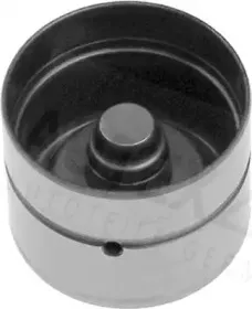 autex-955062