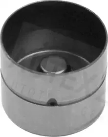 autex-955064