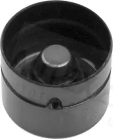 autex-955072