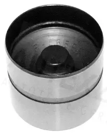 autex-955105