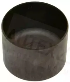 autex-955145
