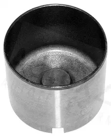 autex-955146