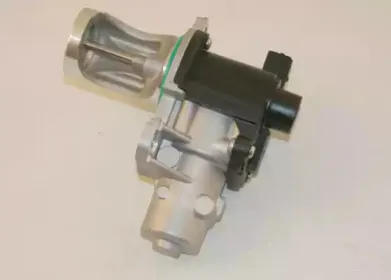 autex-959139
