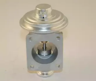 autex-959143