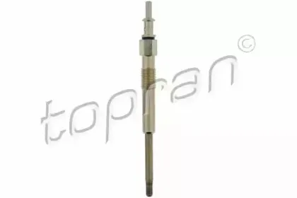 topran-407919