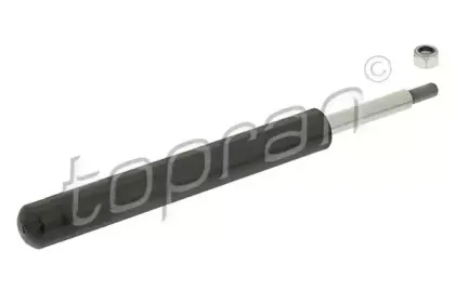 topran-200422