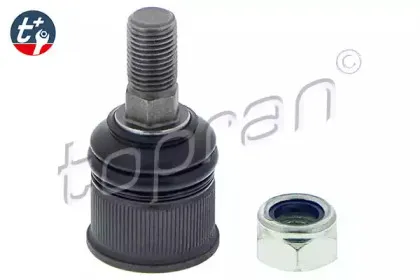 topran-401505
