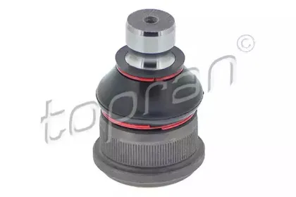 topran-207168