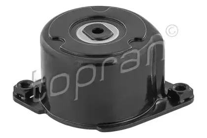 topran-501499