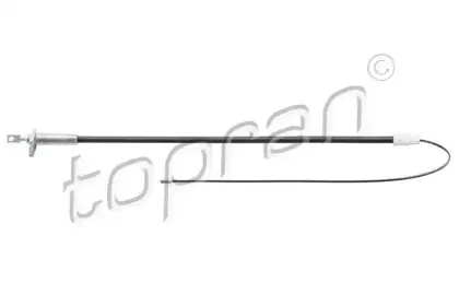 topran-401838