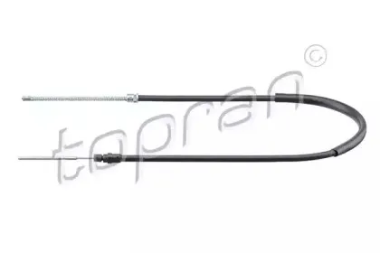 topran-721639