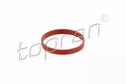 topran-500833