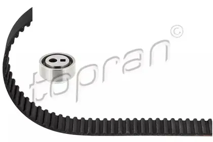 topran-720142