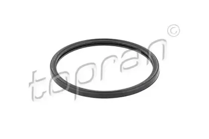 207 487 TOPRAN Прокладка, термостат