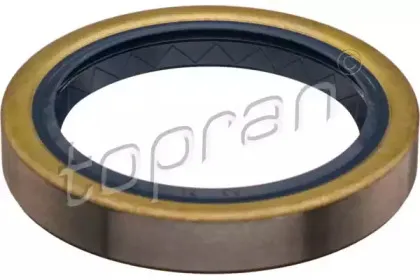 topran-408207