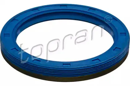 topran-408208