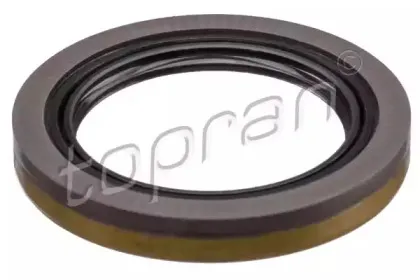 topran-408209