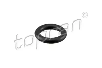 topran-113906