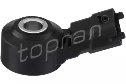 topran-207826