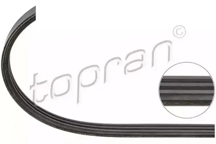 topran-700641
