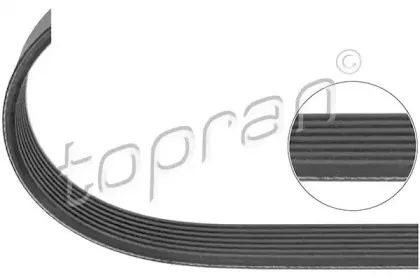 topran-401951