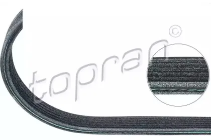 topran-501683