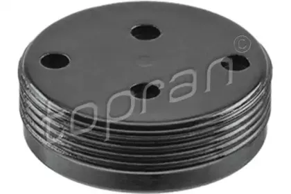 110 878 TOPRAN Пробка антифриза