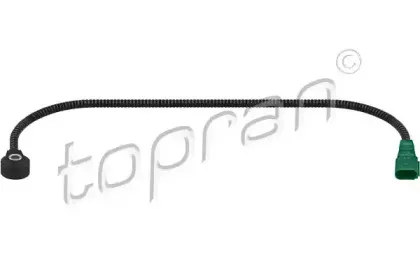 topran-113838