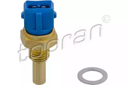 topran-304294