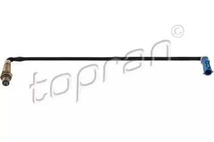 topran-304160