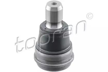 topran-304328