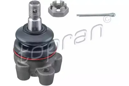 topran-820531