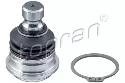 topran-820490