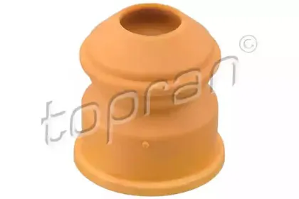 topran-304370