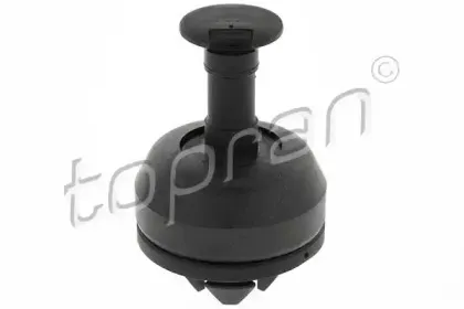 topran-408514