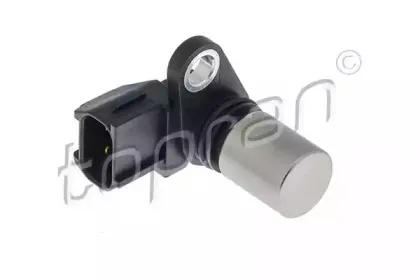 topran-304579