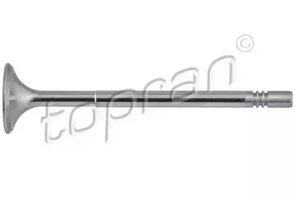 topran-408566