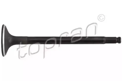 topran-408565