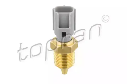 topran-300675