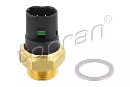 topran-207835