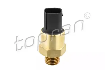topran-500533