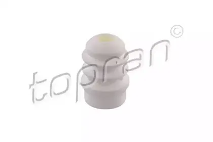 107 667 TOPRAN