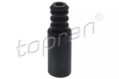 topran-700718