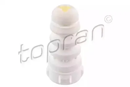 topran-110250