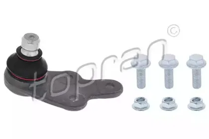 topran-304434