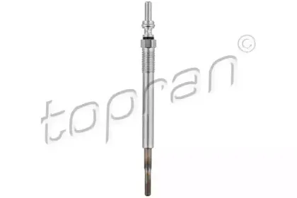 topran-304439