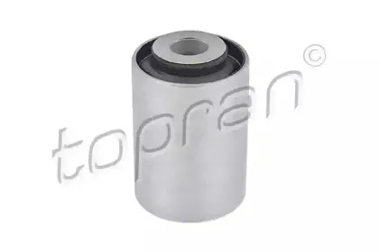 topran-407851