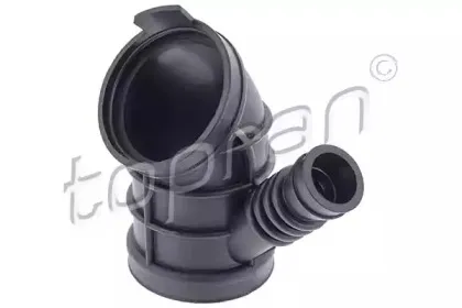topran-501894